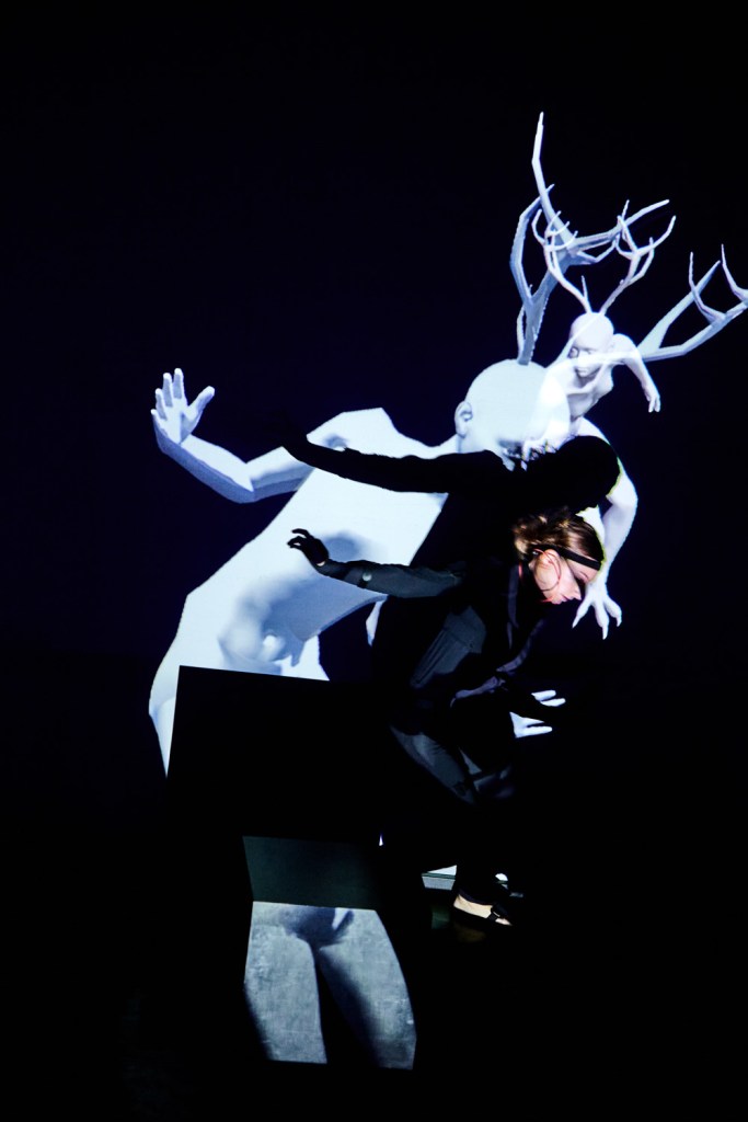 D.A.K.I.N.I. Suite – 3D, Motion Design & Performance